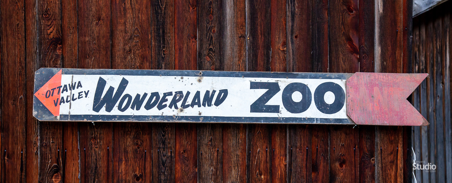 Wonderland Zoo